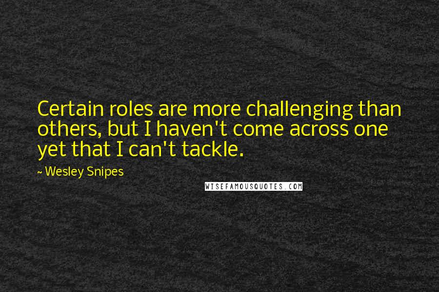 Wesley Snipes Quotes: Certain roles are more challenging than others, but I haven't come across one yet that I can't tackle.