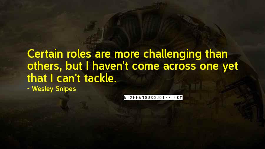 Wesley Snipes Quotes: Certain roles are more challenging than others, but I haven't come across one yet that I can't tackle.