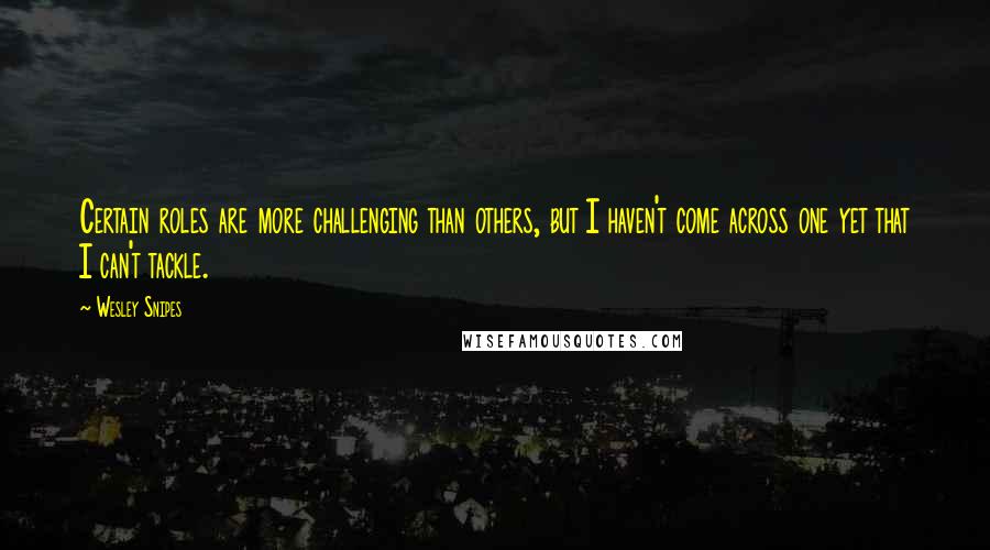 Wesley Snipes Quotes: Certain roles are more challenging than others, but I haven't come across one yet that I can't tackle.