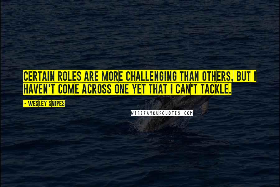 Wesley Snipes Quotes: Certain roles are more challenging than others, but I haven't come across one yet that I can't tackle.