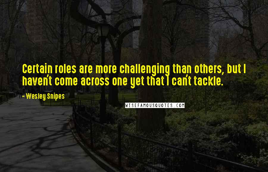 Wesley Snipes Quotes: Certain roles are more challenging than others, but I haven't come across one yet that I can't tackle.