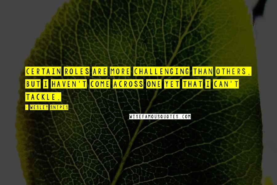 Wesley Snipes Quotes: Certain roles are more challenging than others, but I haven't come across one yet that I can't tackle.