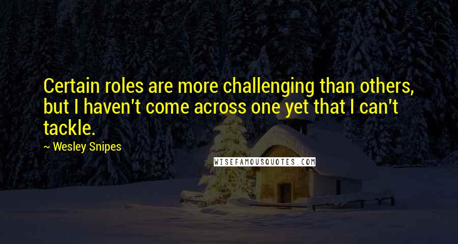 Wesley Snipes Quotes: Certain roles are more challenging than others, but I haven't come across one yet that I can't tackle.