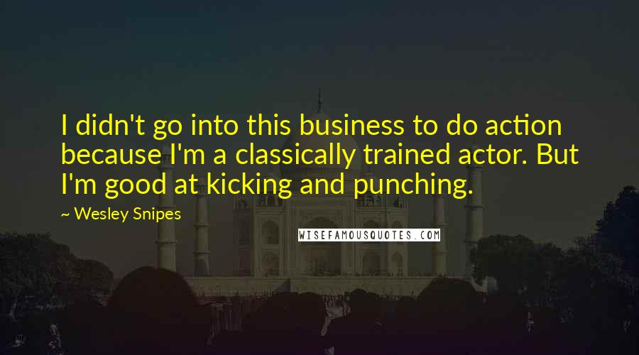 Wesley Snipes Quotes: I didn't go into this business to do action because I'm a classically trained actor. But I'm good at kicking and punching.