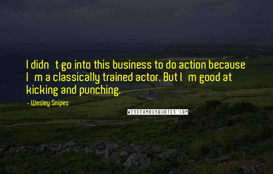 Wesley Snipes Quotes: I didn't go into this business to do action because I'm a classically trained actor. But I'm good at kicking and punching.