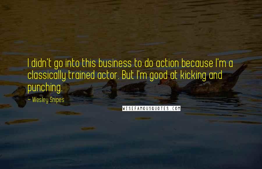 Wesley Snipes Quotes: I didn't go into this business to do action because I'm a classically trained actor. But I'm good at kicking and punching.