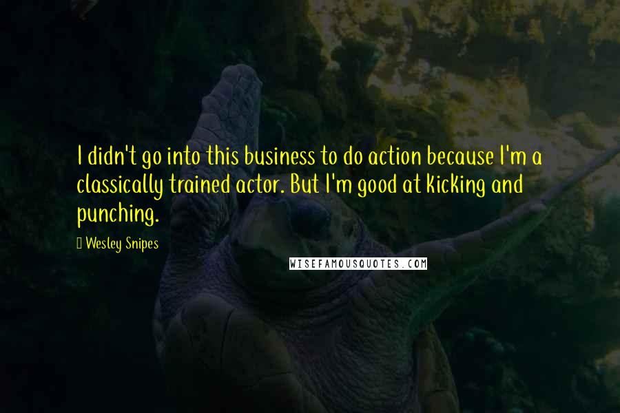 Wesley Snipes Quotes: I didn't go into this business to do action because I'm a classically trained actor. But I'm good at kicking and punching.