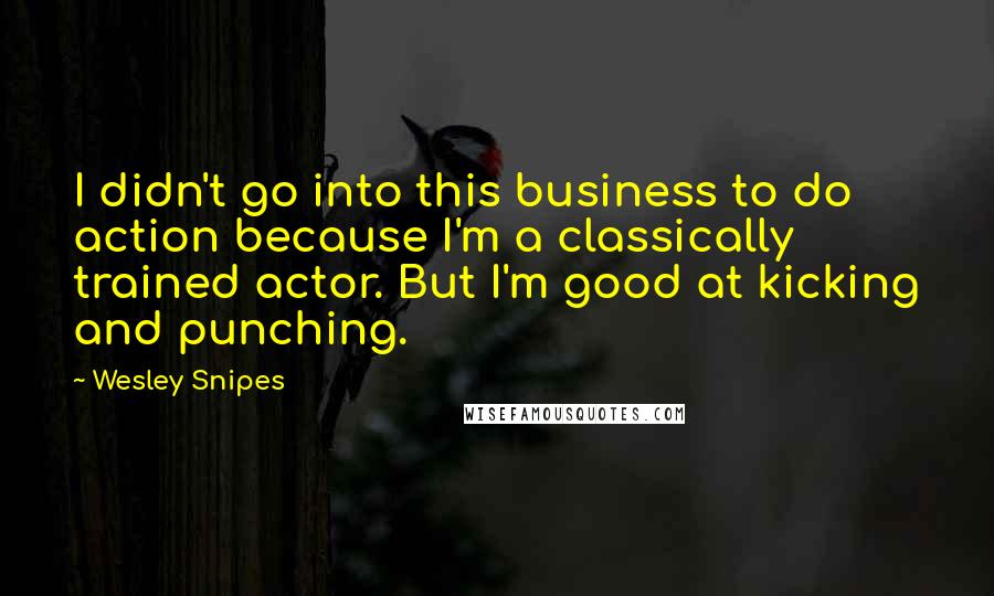 Wesley Snipes Quotes: I didn't go into this business to do action because I'm a classically trained actor. But I'm good at kicking and punching.