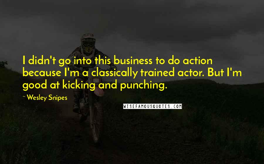 Wesley Snipes Quotes: I didn't go into this business to do action because I'm a classically trained actor. But I'm good at kicking and punching.