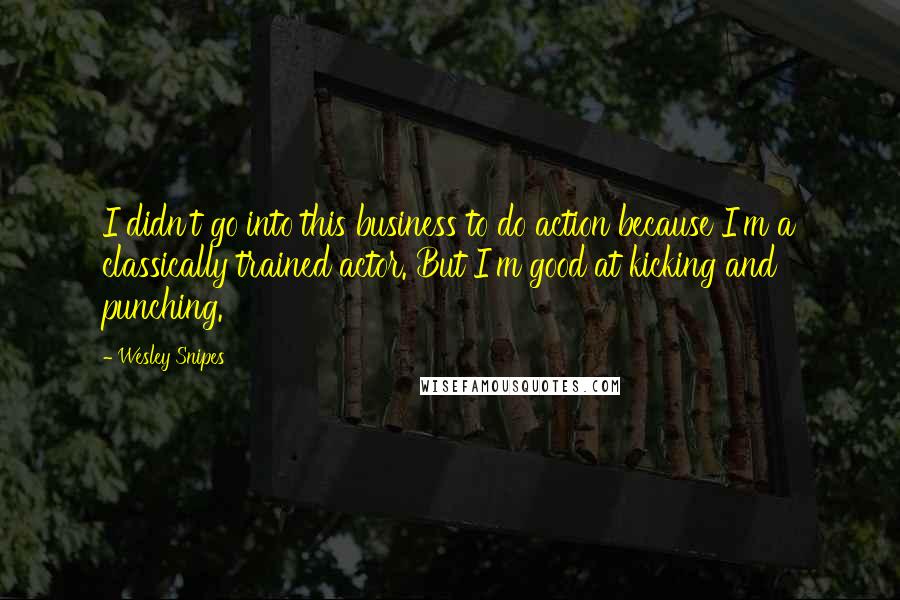 Wesley Snipes Quotes: I didn't go into this business to do action because I'm a classically trained actor. But I'm good at kicking and punching.