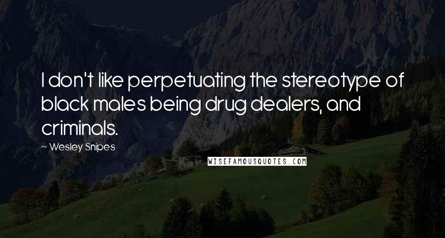 Wesley Snipes Quotes: I don't like perpetuating the stereotype of black males being drug dealers, and criminals.