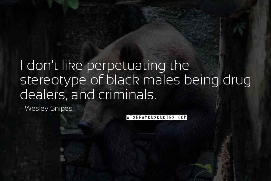 Wesley Snipes Quotes: I don't like perpetuating the stereotype of black males being drug dealers, and criminals.