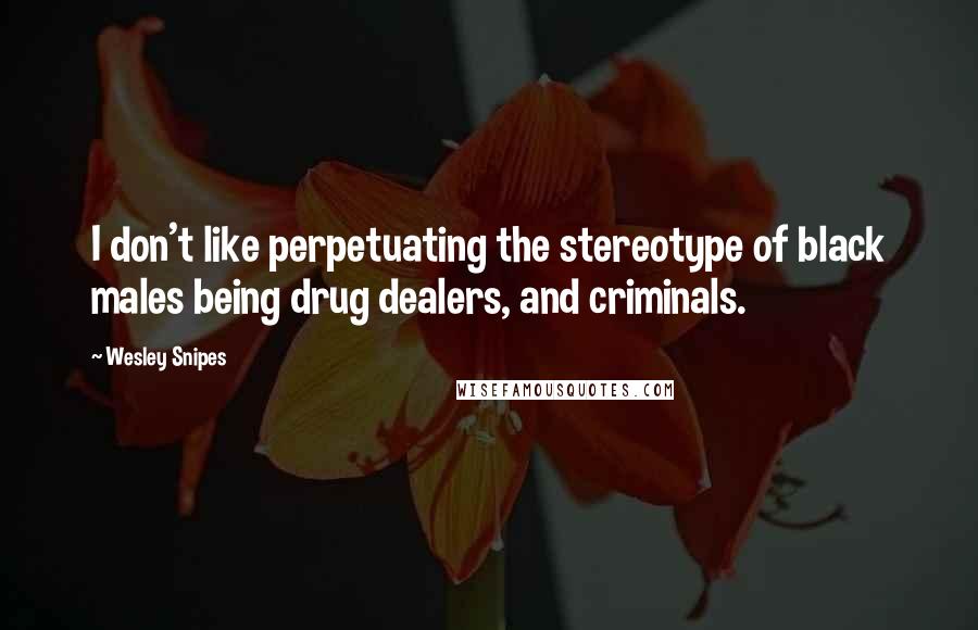 Wesley Snipes Quotes: I don't like perpetuating the stereotype of black males being drug dealers, and criminals.