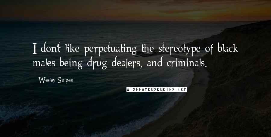 Wesley Snipes Quotes: I don't like perpetuating the stereotype of black males being drug dealers, and criminals.