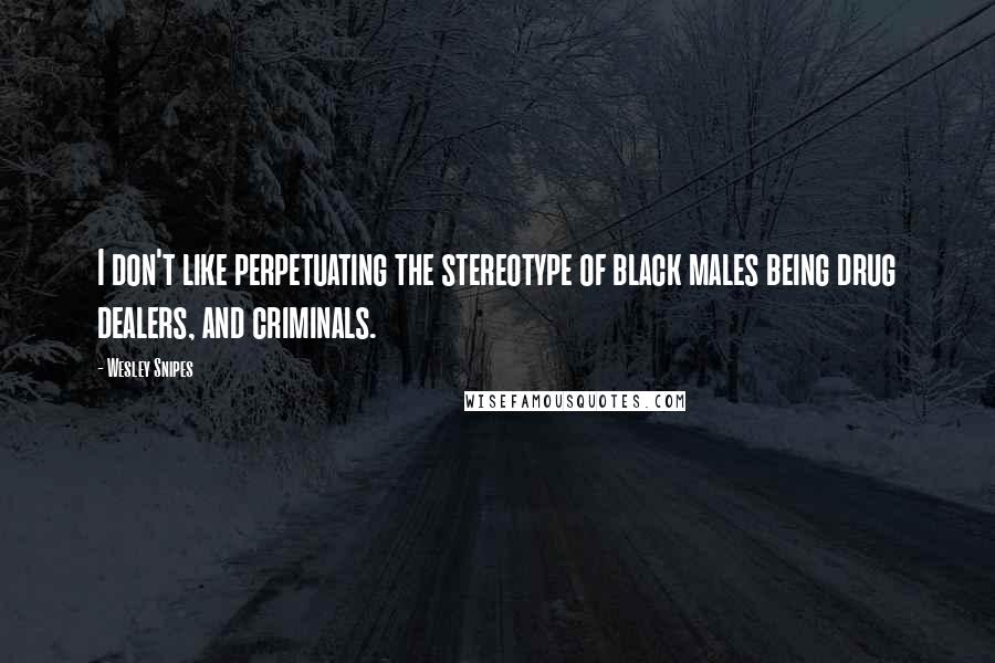 Wesley Snipes Quotes: I don't like perpetuating the stereotype of black males being drug dealers, and criminals.