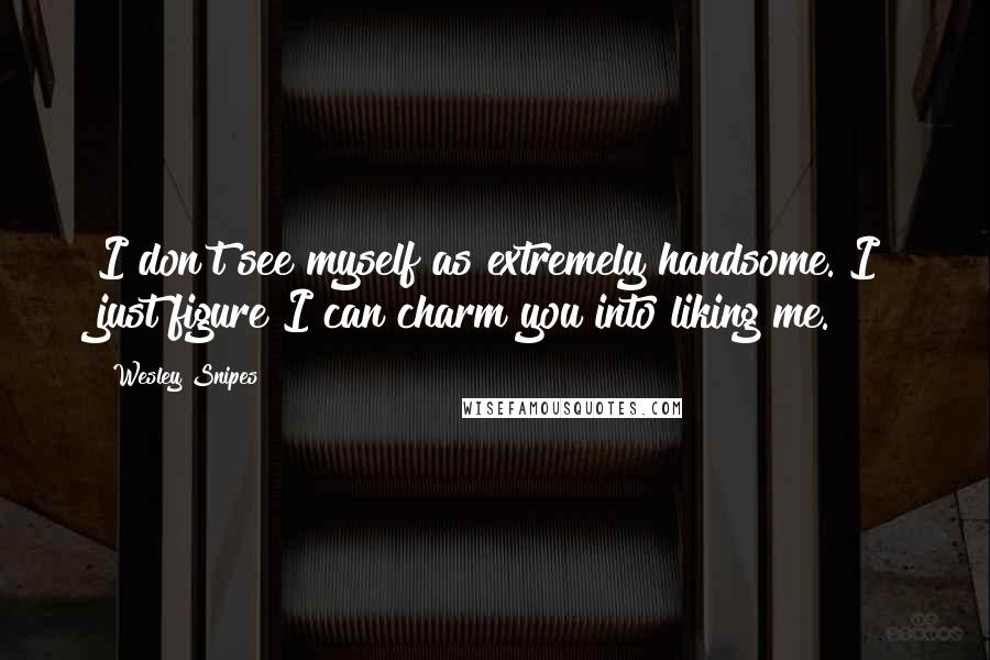 Wesley Snipes Quotes: I don't see myself as extremely handsome. I just figure I can charm you into liking me.