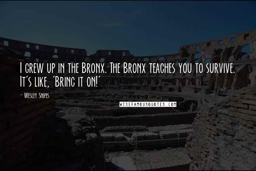Wesley Snipes Quotes: I grew up in the Bronx. The Bronx teaches you to survive. It's like, 'Bring it on!'