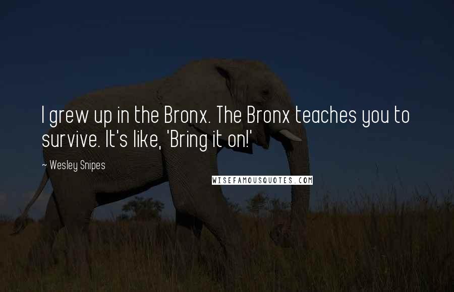 Wesley Snipes Quotes: I grew up in the Bronx. The Bronx teaches you to survive. It's like, 'Bring it on!'