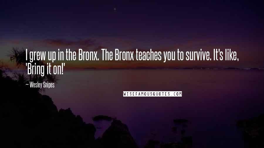 Wesley Snipes Quotes: I grew up in the Bronx. The Bronx teaches you to survive. It's like, 'Bring it on!'