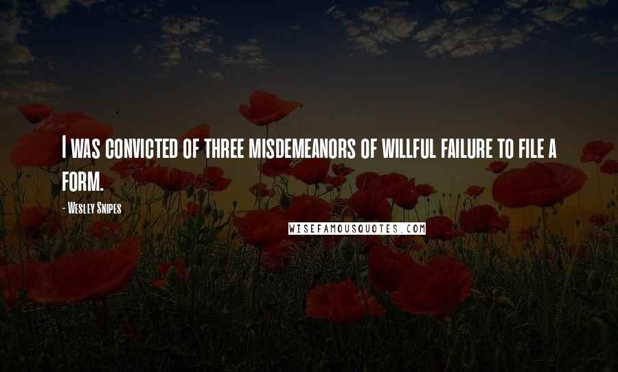 Wesley Snipes Quotes: I was convicted of three misdemeanors of willful failure to file a form.