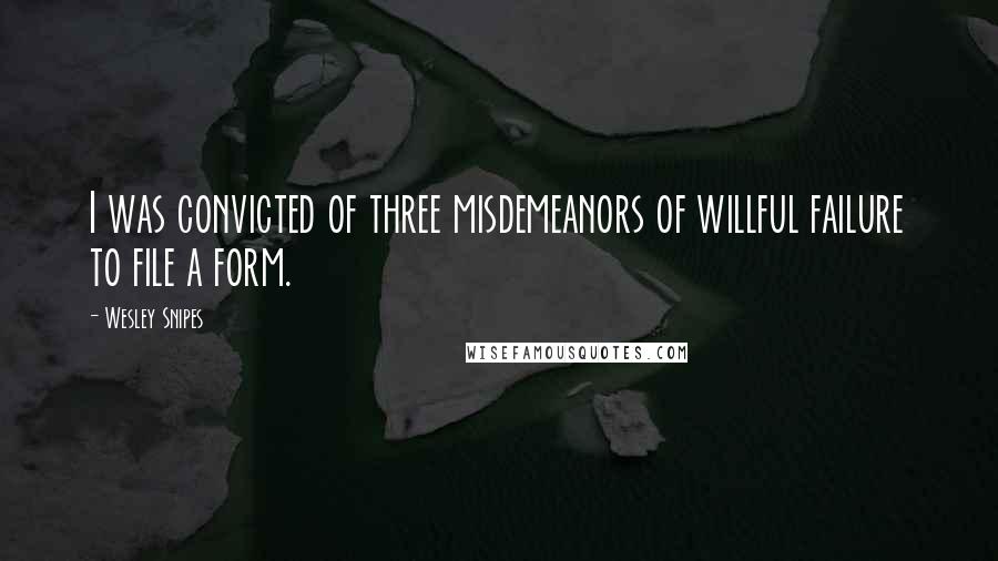 Wesley Snipes Quotes: I was convicted of three misdemeanors of willful failure to file a form.