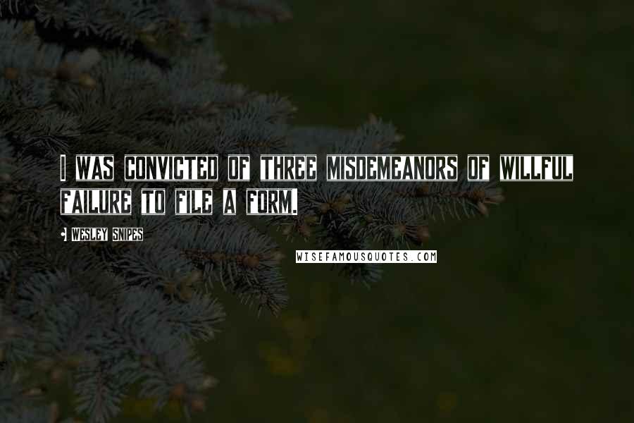 Wesley Snipes Quotes: I was convicted of three misdemeanors of willful failure to file a form.