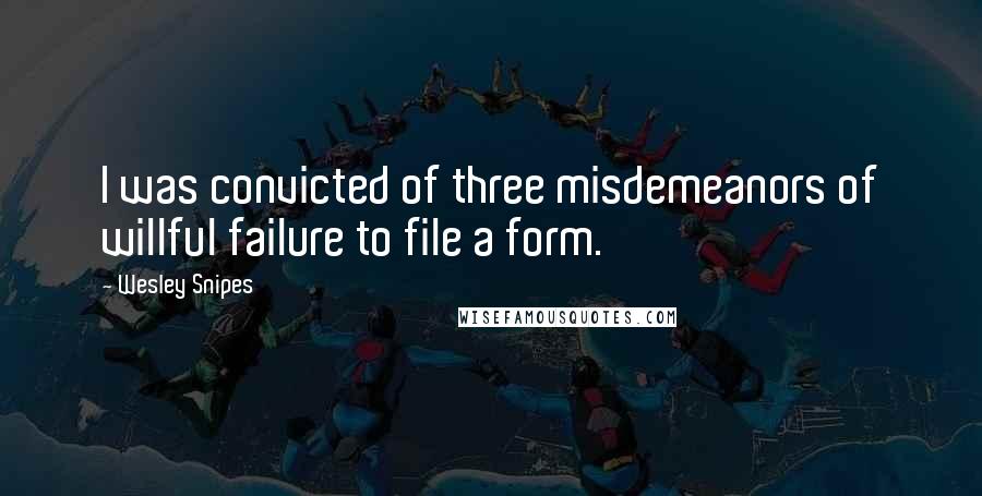 Wesley Snipes Quotes: I was convicted of three misdemeanors of willful failure to file a form.