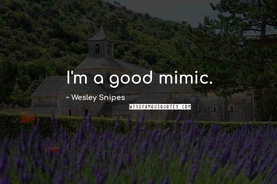 Wesley Snipes Quotes: I'm a good mimic.