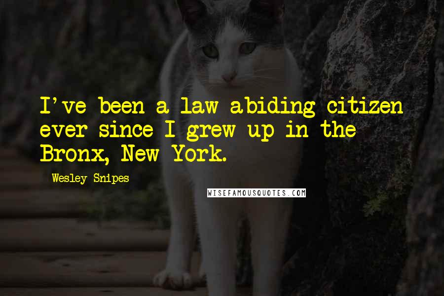 Wesley Snipes Quotes: I've been a law-abiding citizen ever since I grew up in the Bronx, New York.