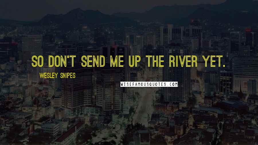 Wesley Snipes Quotes: So don't send me up the river yet.