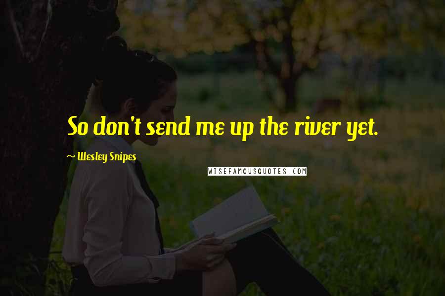 Wesley Snipes Quotes: So don't send me up the river yet.