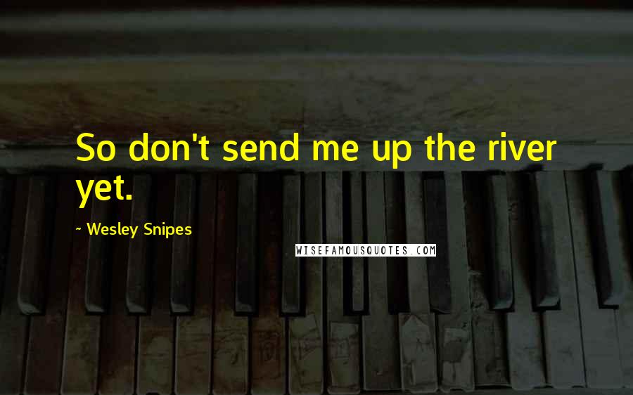 Wesley Snipes Quotes: So don't send me up the river yet.