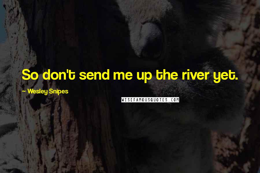 Wesley Snipes Quotes: So don't send me up the river yet.