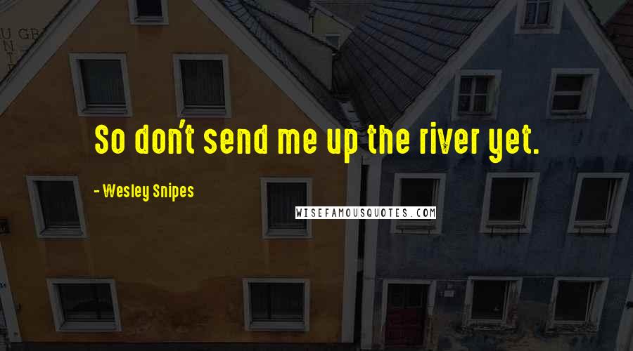 Wesley Snipes Quotes: So don't send me up the river yet.