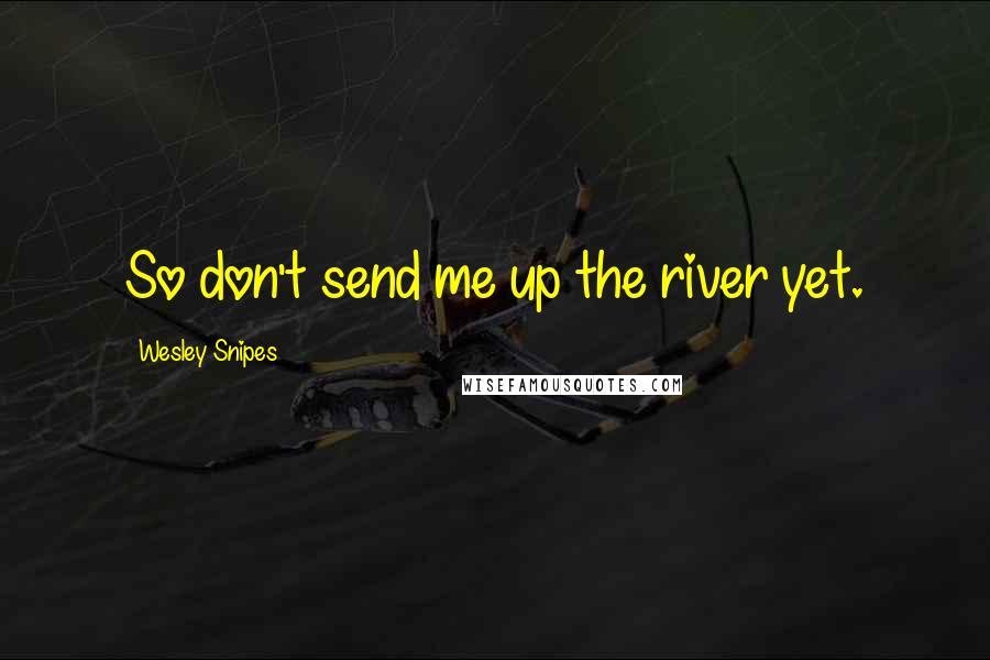 Wesley Snipes Quotes: So don't send me up the river yet.