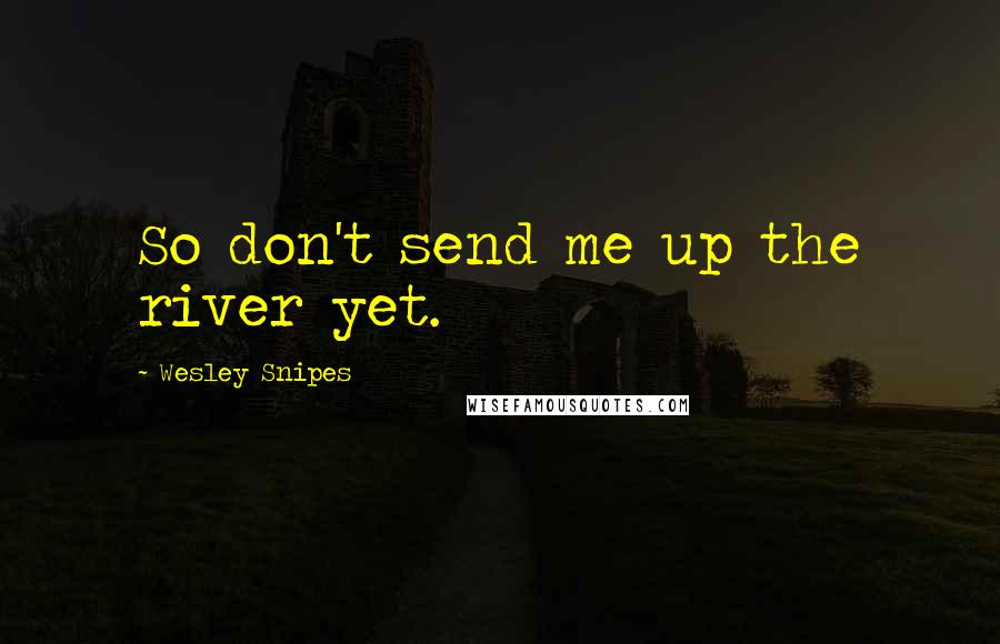 Wesley Snipes Quotes: So don't send me up the river yet.