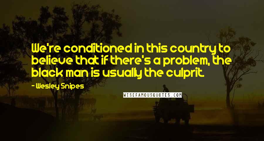 Wesley Snipes Quotes: We're conditioned in this country to believe that if there's a problem, the black man is usually the culprit.