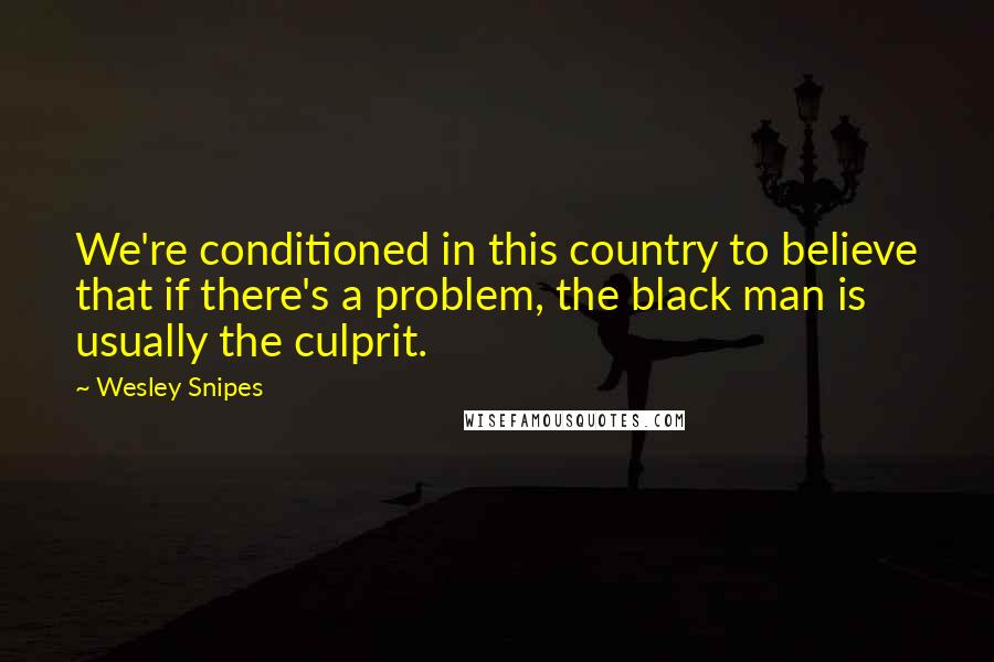 Wesley Snipes Quotes: We're conditioned in this country to believe that if there's a problem, the black man is usually the culprit.