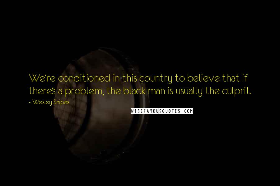 Wesley Snipes Quotes: We're conditioned in this country to believe that if there's a problem, the black man is usually the culprit.