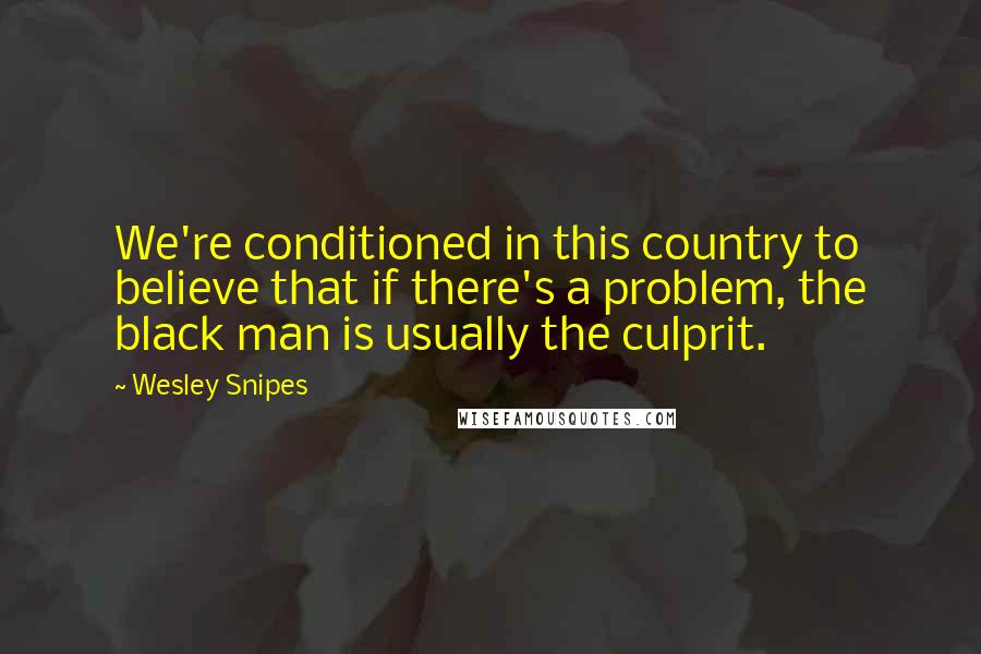 Wesley Snipes Quotes: We're conditioned in this country to believe that if there's a problem, the black man is usually the culprit.