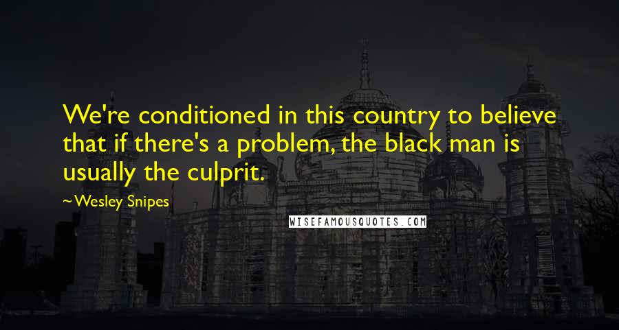Wesley Snipes Quotes: We're conditioned in this country to believe that if there's a problem, the black man is usually the culprit.