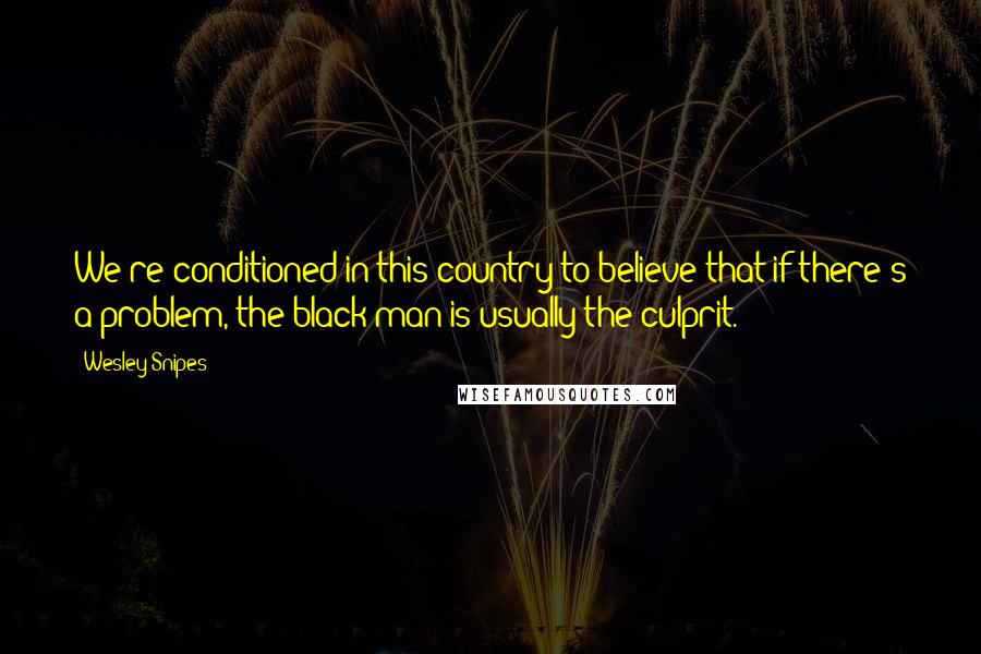 Wesley Snipes Quotes: We're conditioned in this country to believe that if there's a problem, the black man is usually the culprit.
