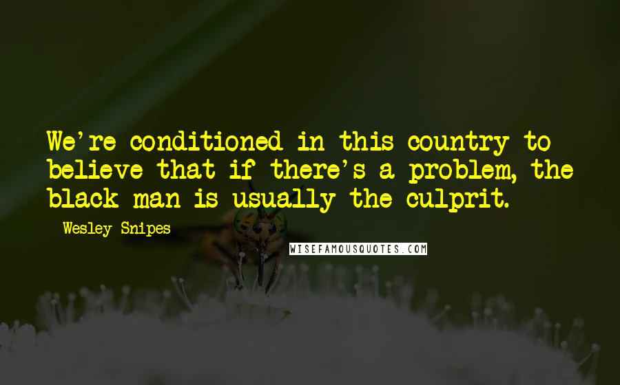 Wesley Snipes Quotes: We're conditioned in this country to believe that if there's a problem, the black man is usually the culprit.