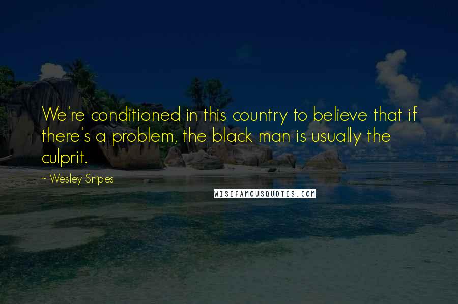 Wesley Snipes Quotes: We're conditioned in this country to believe that if there's a problem, the black man is usually the culprit.