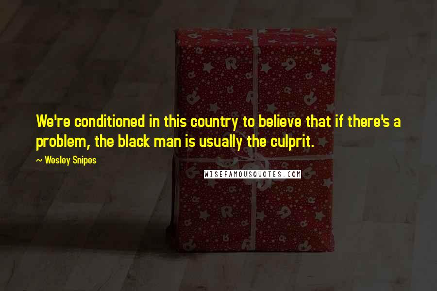 Wesley Snipes Quotes: We're conditioned in this country to believe that if there's a problem, the black man is usually the culprit.
