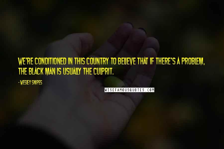 Wesley Snipes Quotes: We're conditioned in this country to believe that if there's a problem, the black man is usually the culprit.
