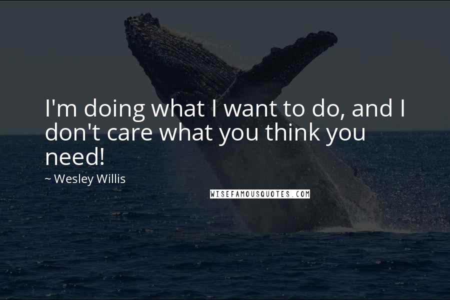 Wesley Willis Quotes: I'm doing what I want to do, and I don't care what you think you need!