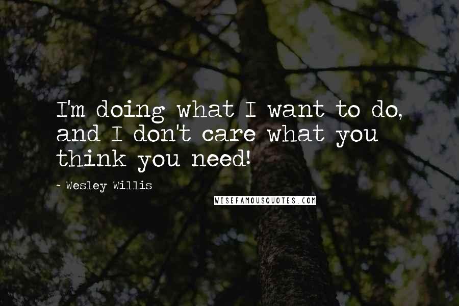 Wesley Willis Quotes: I'm doing what I want to do, and I don't care what you think you need!