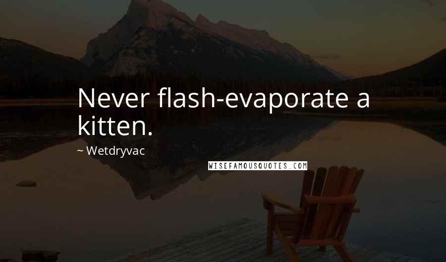 Wetdryvac Quotes: Never flash-evaporate a kitten.