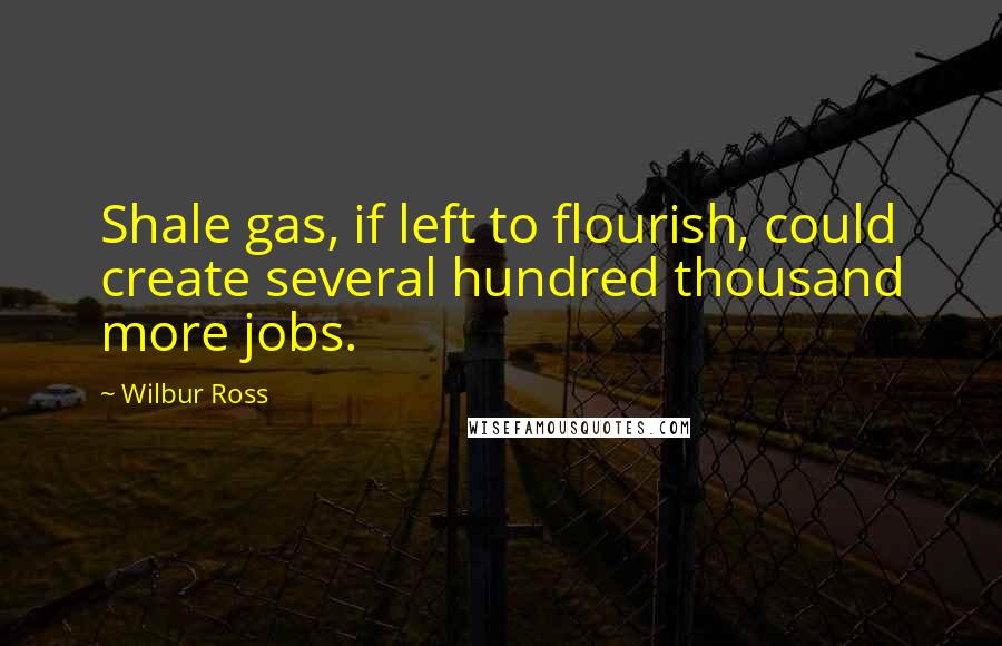 Wilbur Ross Quotes: Shale gas, if left to flourish, could create several hundred thousand more jobs.